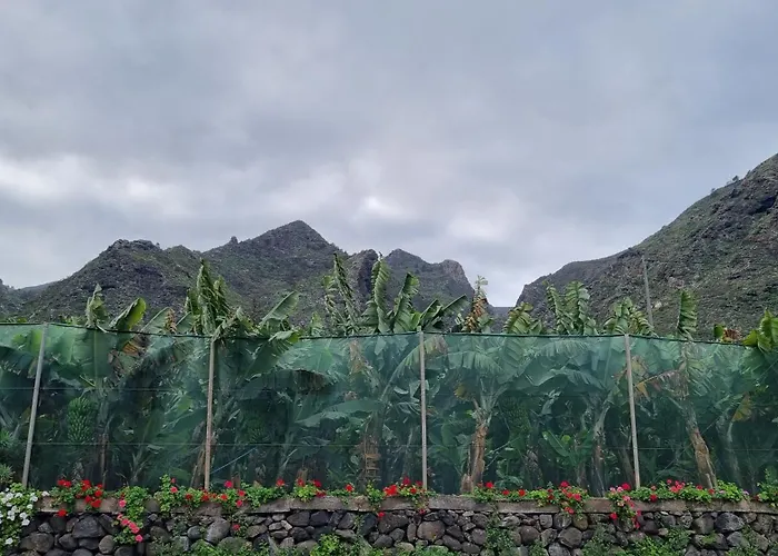 公寓 Edif La Luz No 4 With Big Private Terrace *